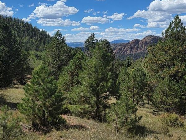 181 Troy Drive, Cripple Creek, CO 80813