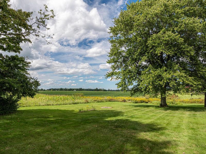 4456 State Route 61, Mount Gilead, OH 43338 Photo 29