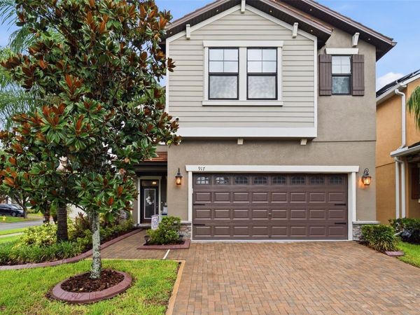917 TERRA VISTA STREET, BRANDON, FL 33511