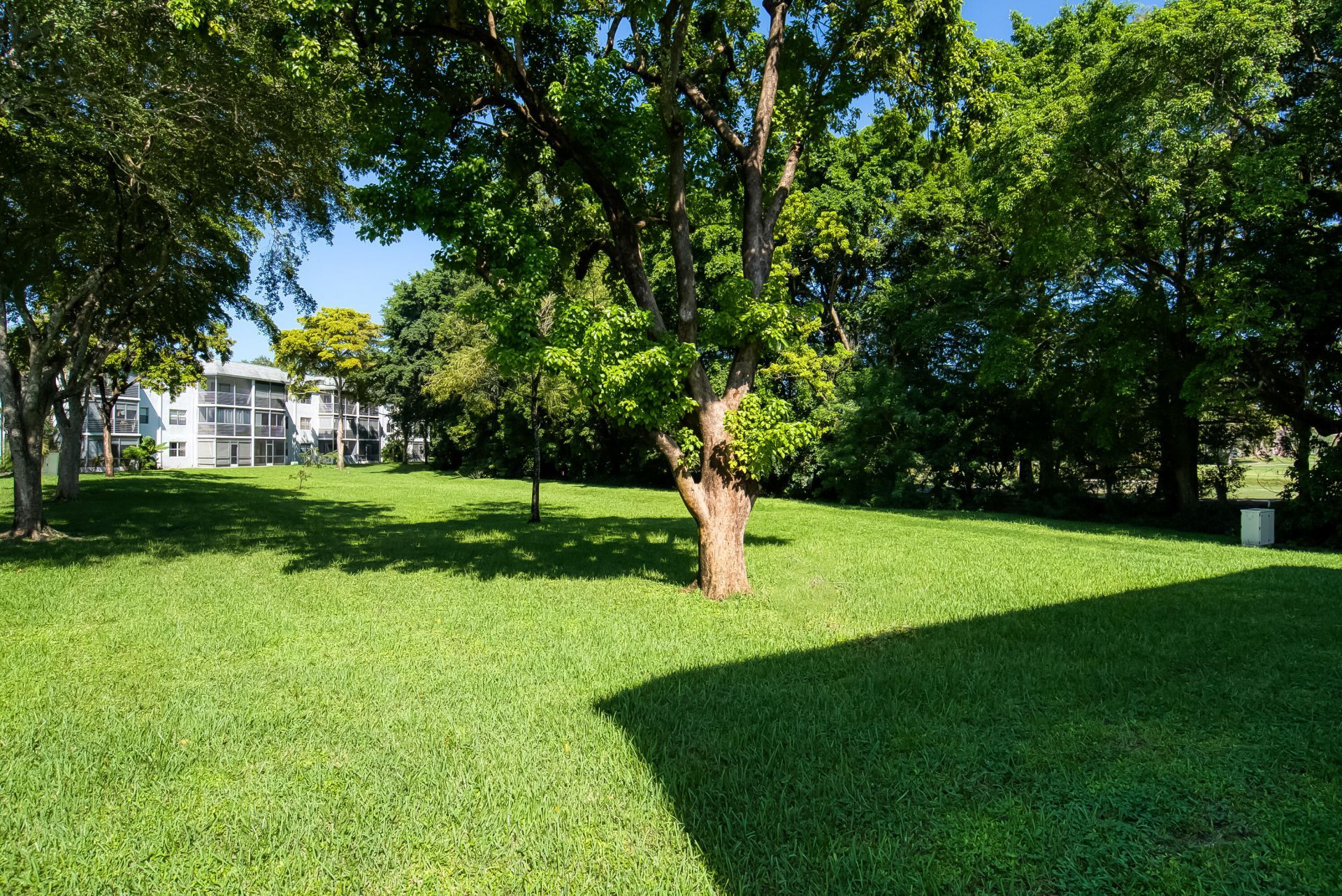8305 NW 61st Street, Unit C211, Tamarac, FL 33321 Photo