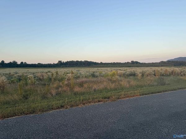 Tract 35 County Road 32, Piedmont, AL 36272