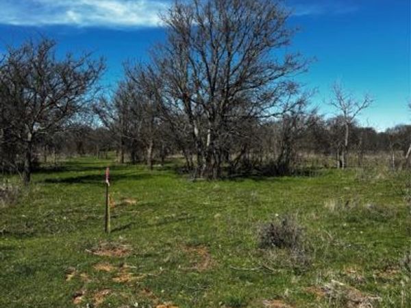 382 High Plains Court, Bellevue, TX 76230
