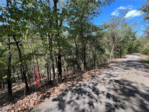 Parcel #925-01599-002 TBD Vine Street, Eureka Springs, AR 72632