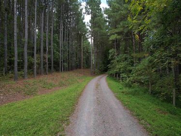 HOLLOWBACK LN , Madison, VA 22727
