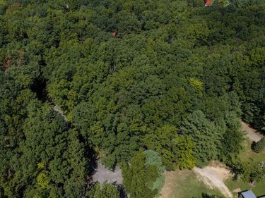 TBD COLD SPRINGS RD , Greenville, VA 24440