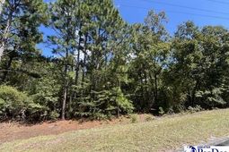 2522 Mount Hebron Road photo 4
