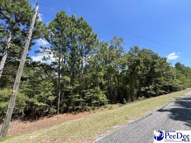 2522 Mount Hebron Road Photo 4