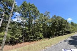 2522 Mount Hebron Road photo 4