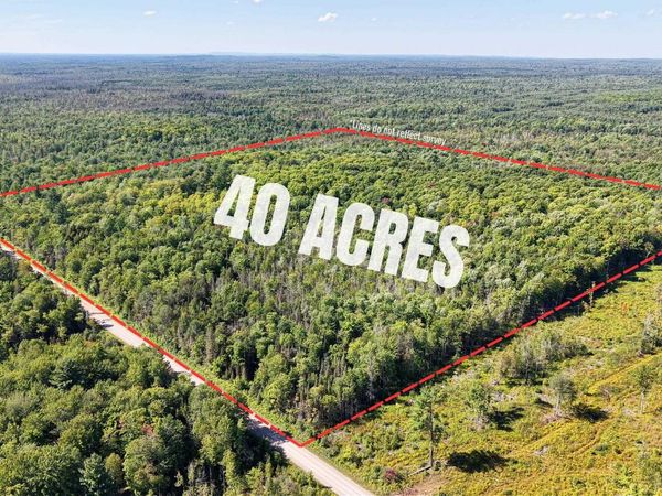 18665 Co 533 Road, Turin Twp, MI 49880