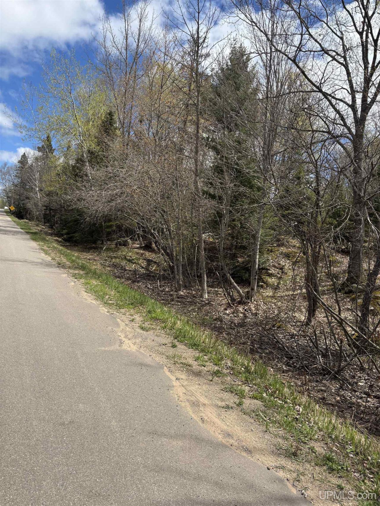 Tbd Al County Road, Humboldt Twp, MI 49814 Main Photo