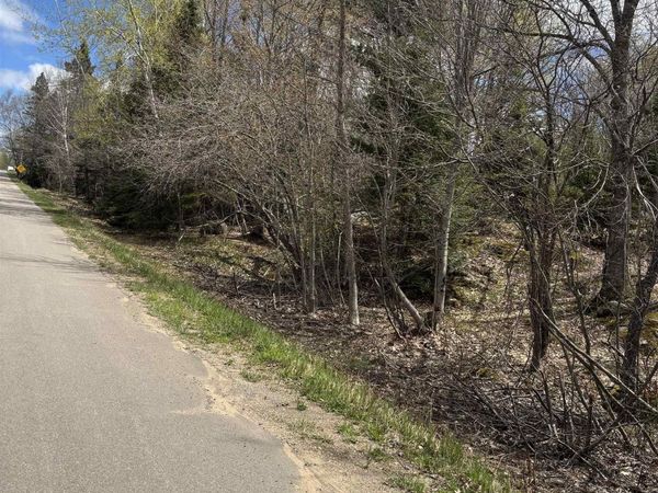 TBD AL County Road, Humboldt Twp, MI 49814