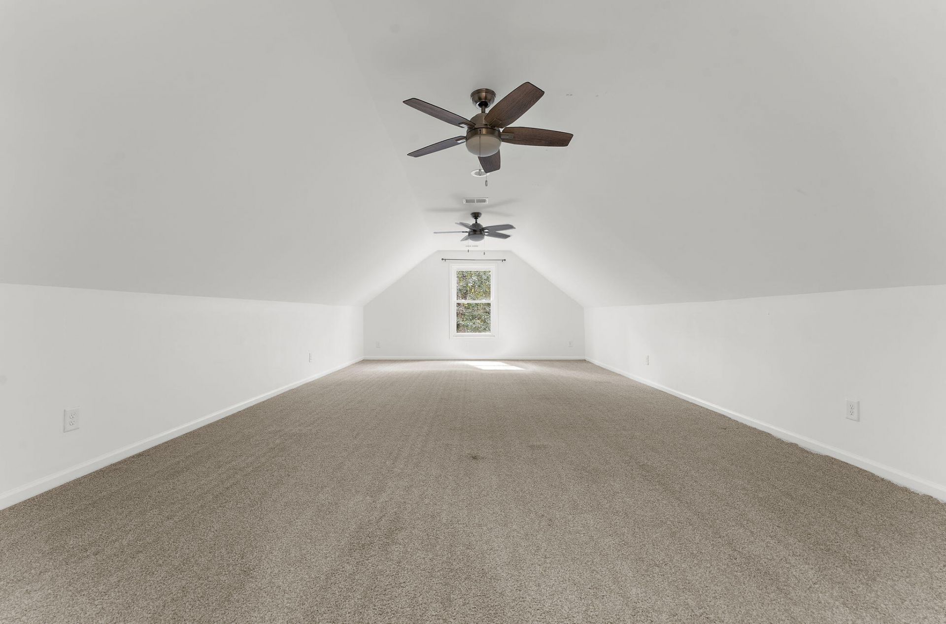 108 Lowndes Lane Photo 49