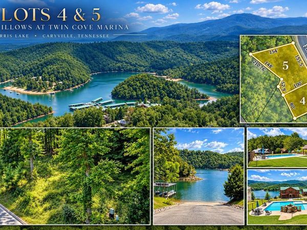 Foxwood Drive, Caryville, TN 37714