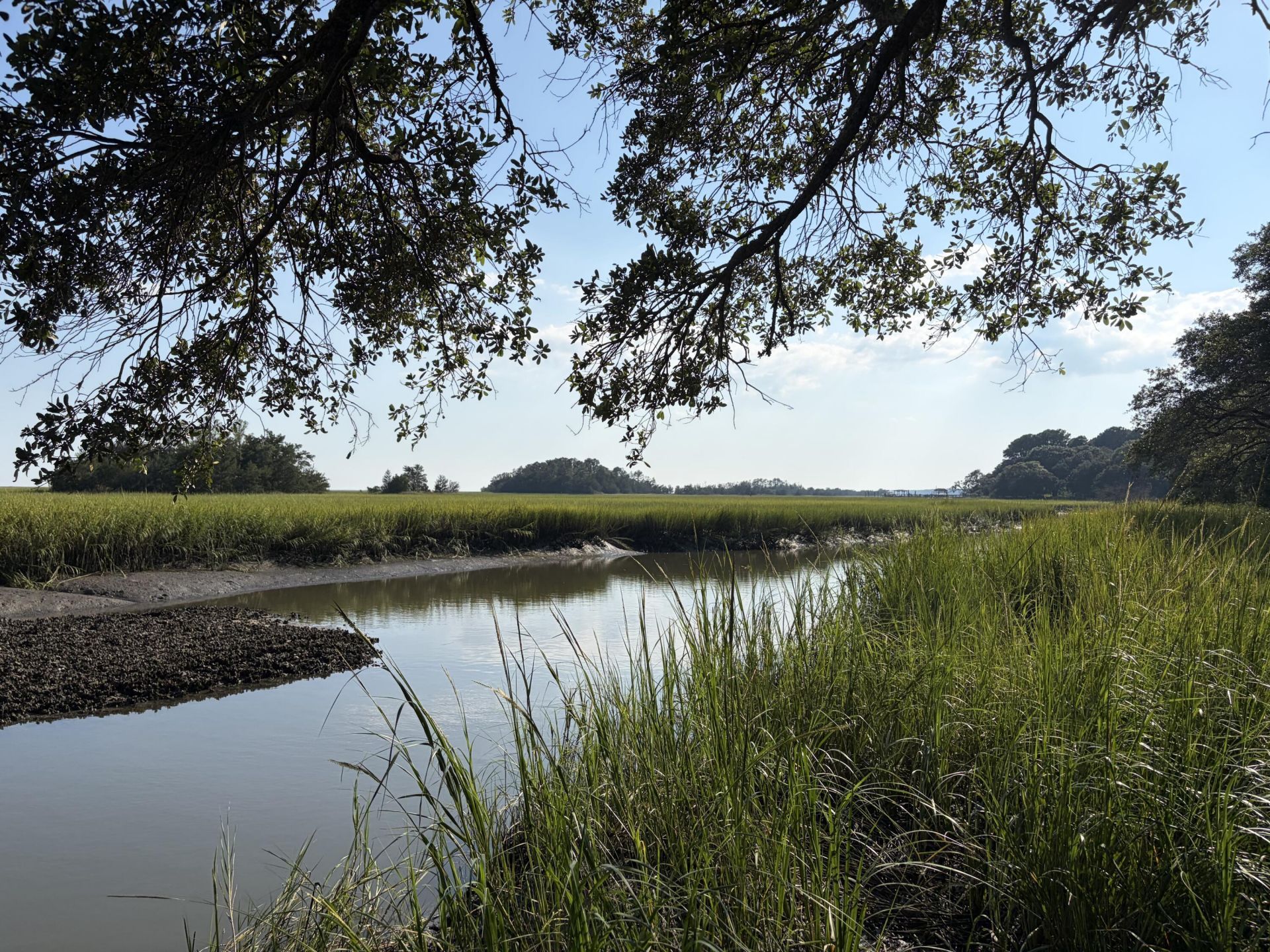 0 Intracoastal Waterway Photo 10