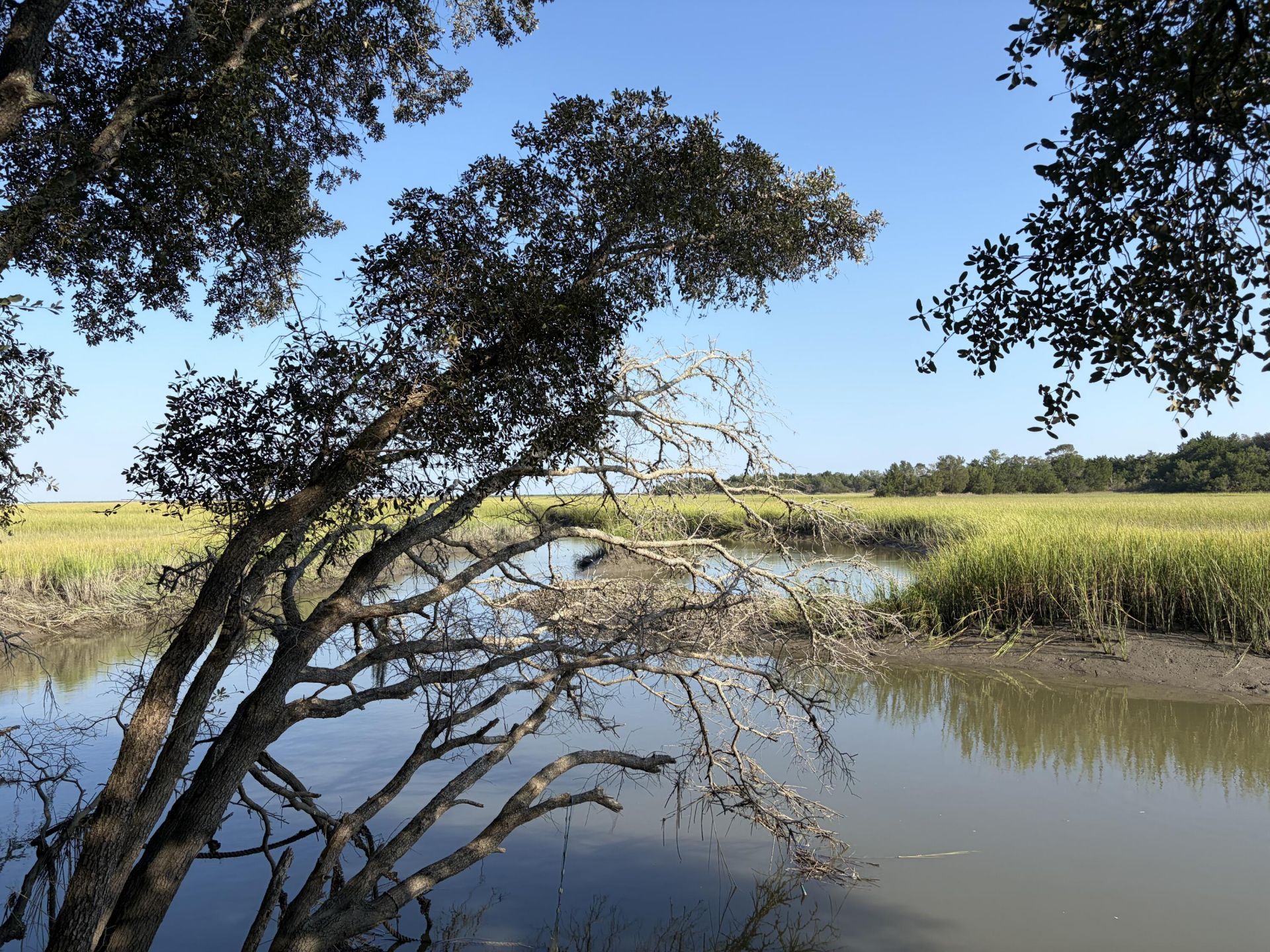 0 Intracoastal Waterway Photo 11