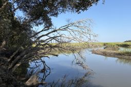 0 Intracoastal Waterway photo 4