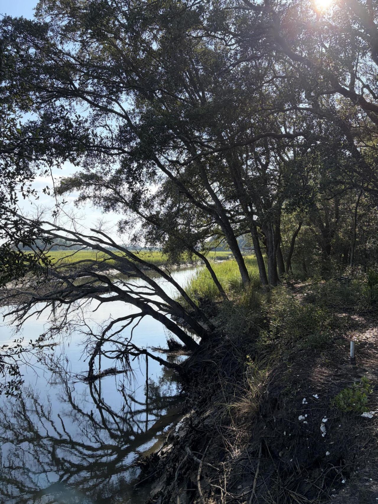 0 Intracoastal Waterway Photo 5