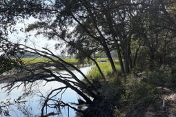 0 Intracoastal Waterway photo 4