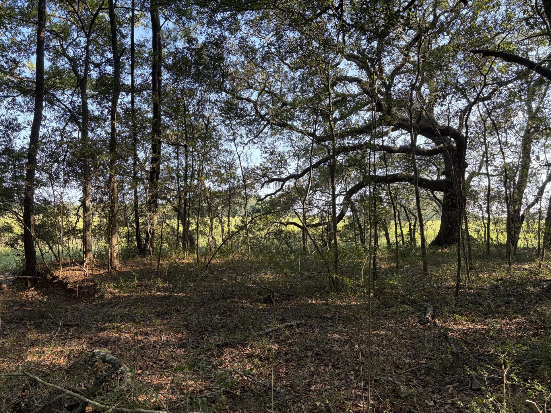 0 Intracoastal Waterway Photo 7