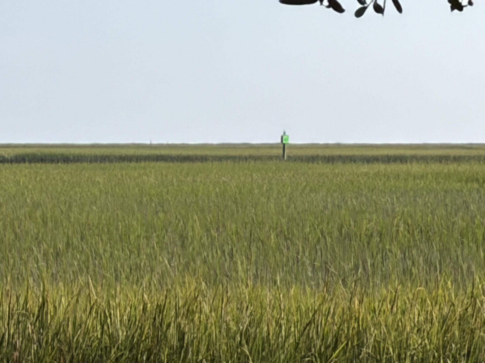 0 Intracoastal Waterway Photo 9