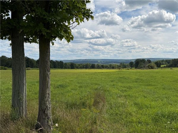 VL Barney Road N, Fillmore, NY 14735