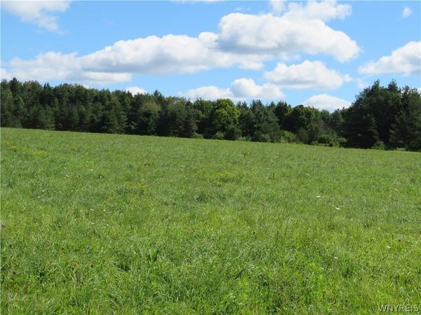 Glinderman Road, Caneadea, NY 14717