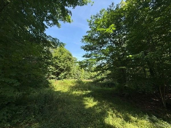 V/L Syler Road, Warsaw, NY 14569