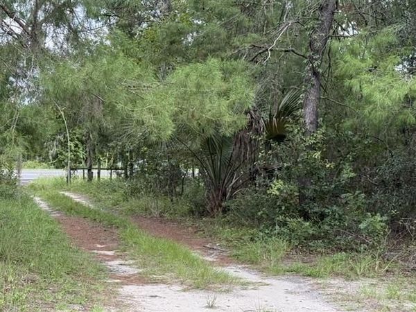 421 S County Road 315, Interlachen, FL 32148