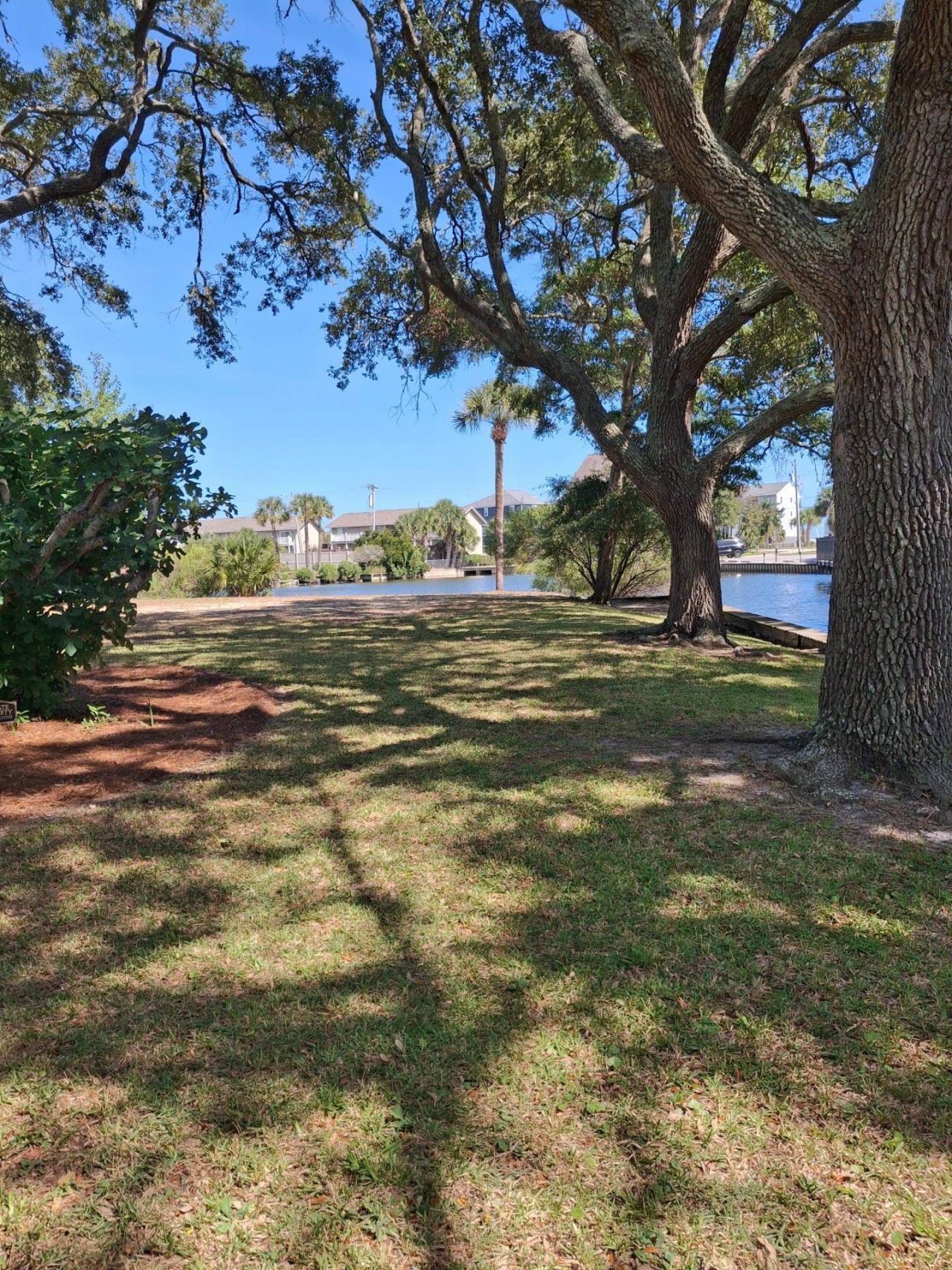 313 N Oak Dr. Photo 46