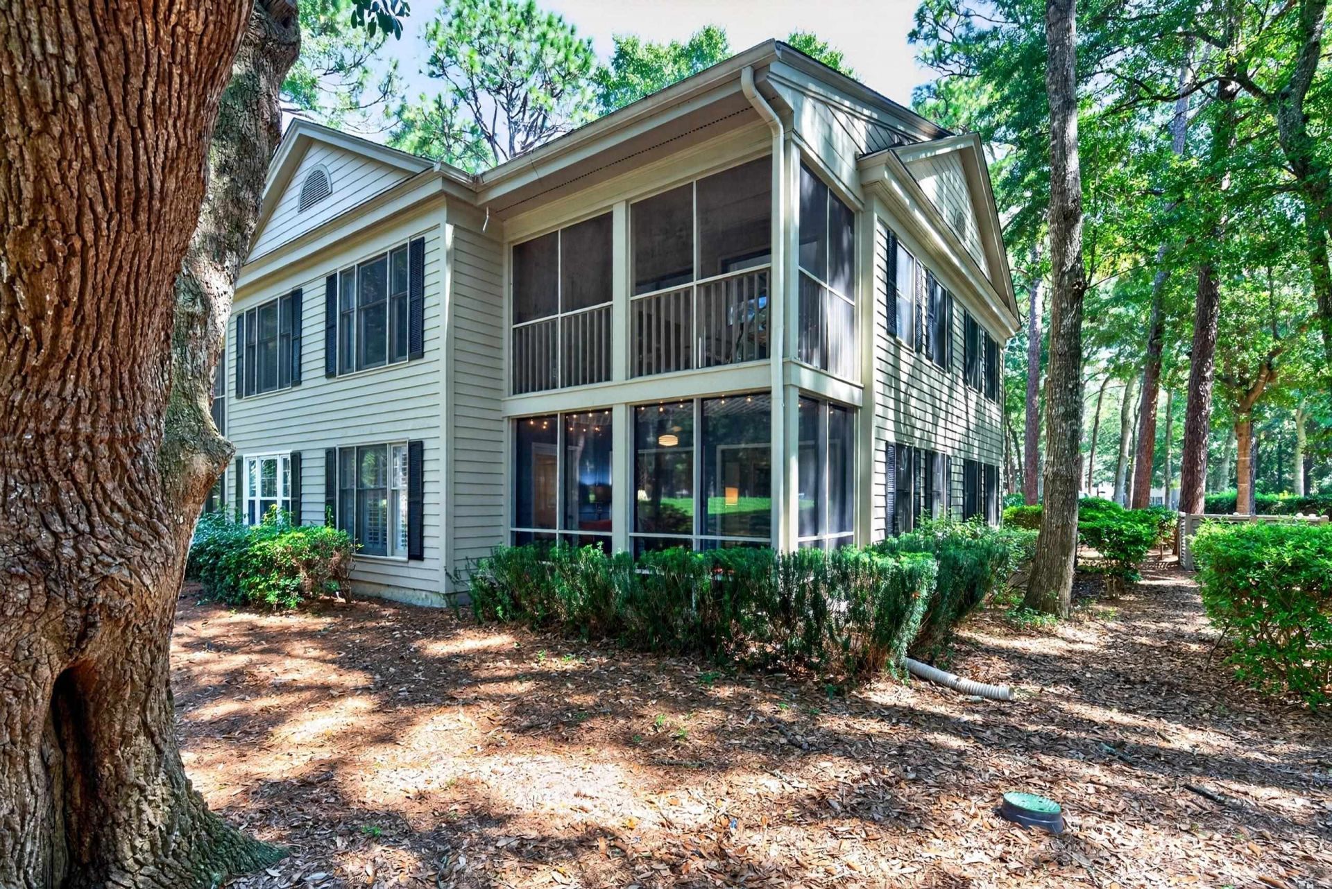 55 Weehawka Way Photo 19