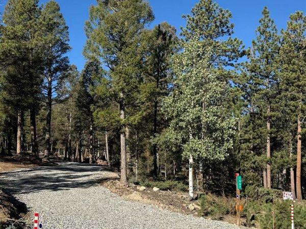 1667 Singletree Road, Hartsel, CO 80449