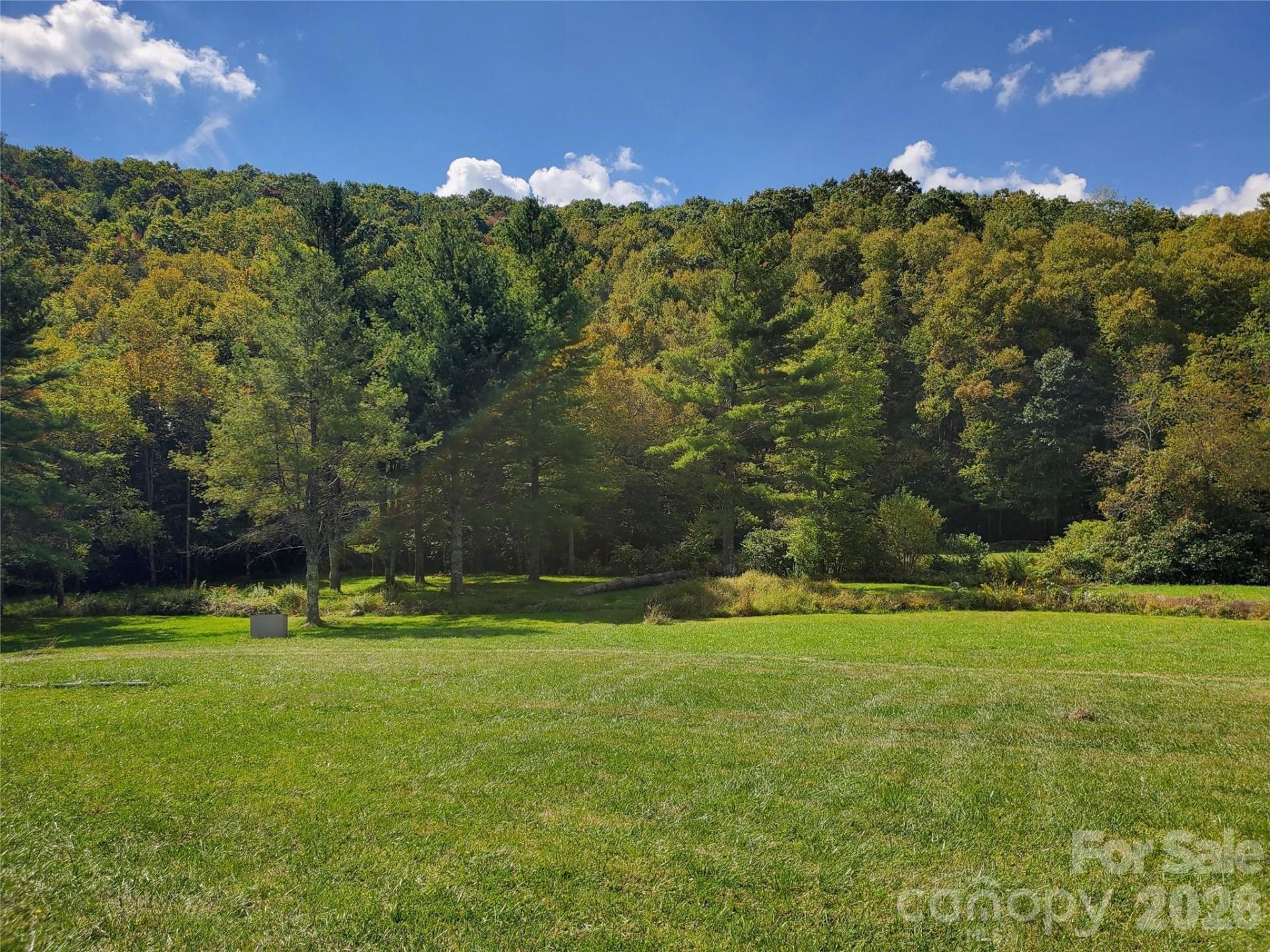 000 Nettle Knob Road, West Jefferson, NC 28694 Main Photo