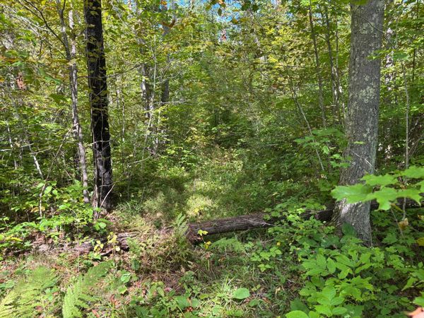 TBD 235th Place, McGregor, MN 55760