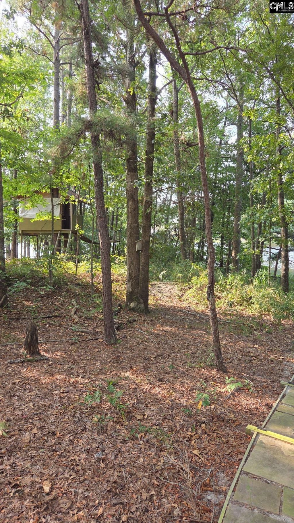 718 Sparrow Hawk Court Photo 43