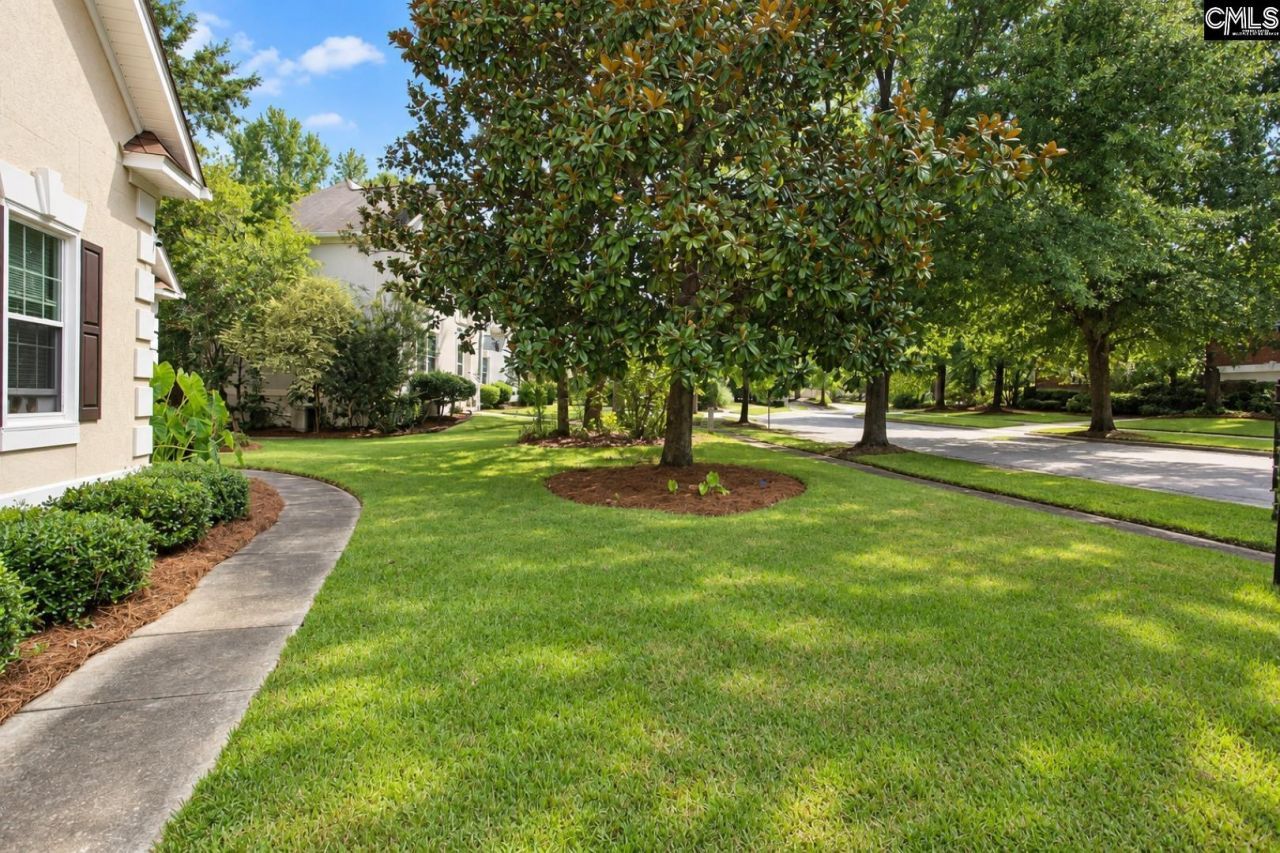 104 Big Leaf Circle  Photo 5