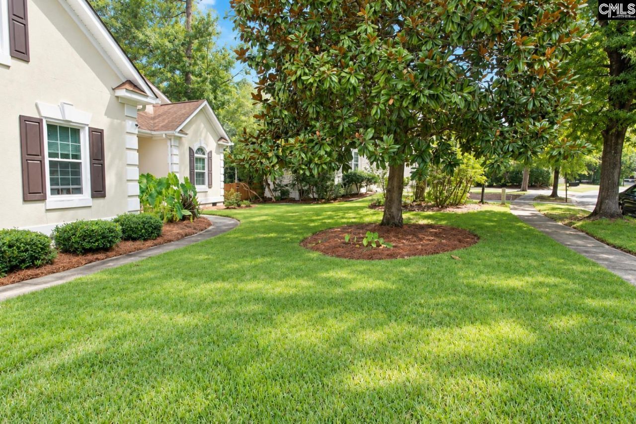 104 Big Leaf Circle  Photo 7