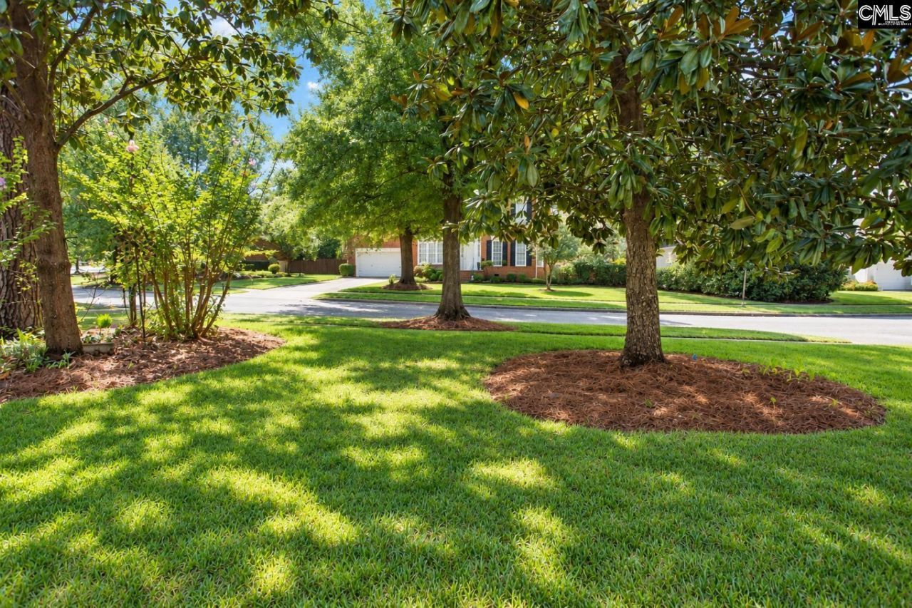 104 Big Leaf Circle  Photo 8