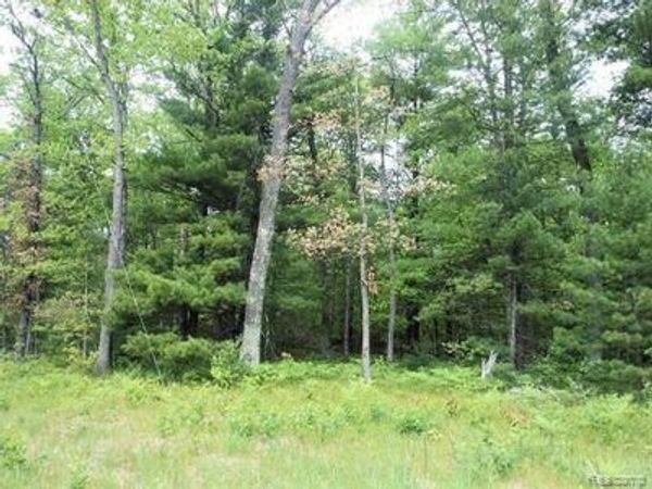 0000 E WEBSITE, Yates Township, Mi 49642