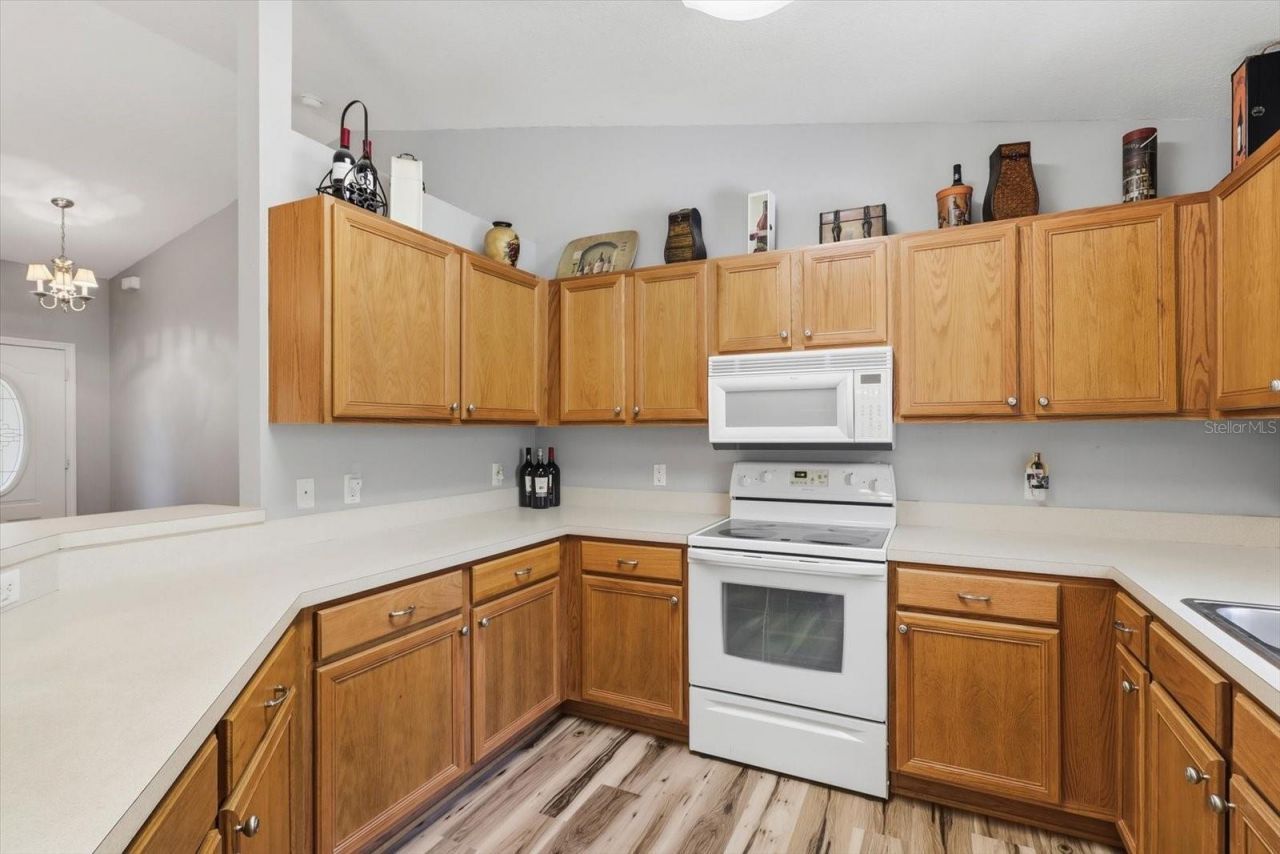 1123 Cornell Terrace, Inverness, FL 34452 Photo