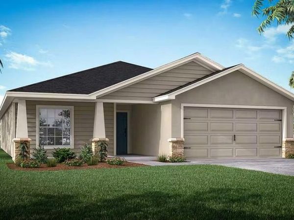 251 BLOSSOMING LILY AVENUE, RUSKIN, FL 33570