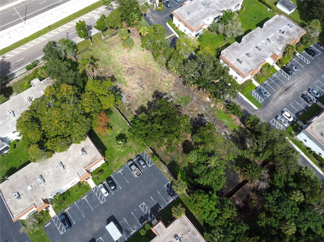 000 N Mcmullen Booth Road, Clearwater, FL 33759 Photo