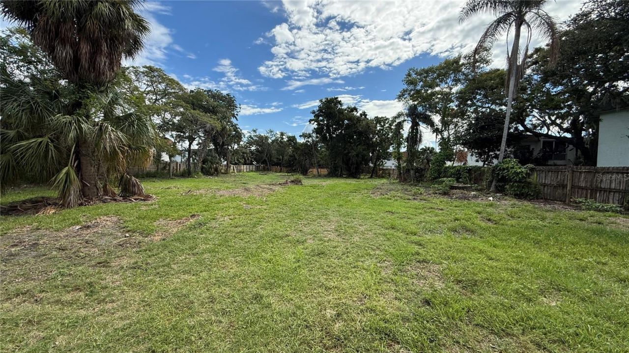 000 N Mcmullen Booth Road, Clearwater, FL 33759 Photo