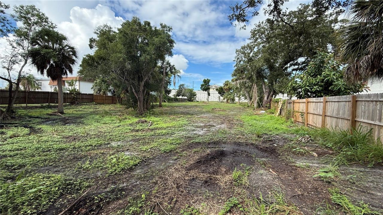 000 N Mcmullen Booth Road, Clearwater, FL 33759 Photo