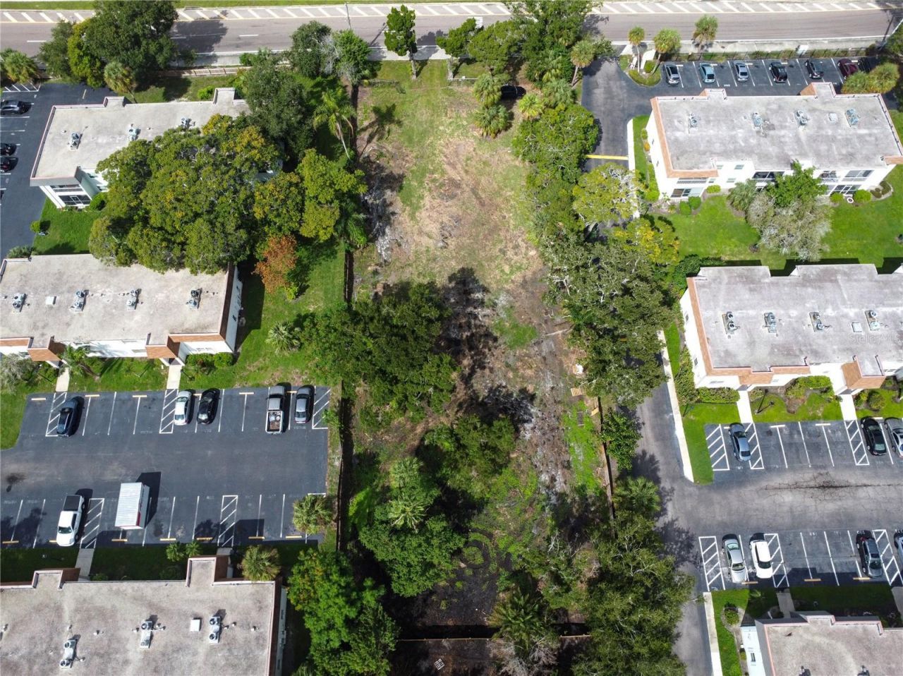 000 N Mcmullen Booth Road, Clearwater, FL 33759 Photo