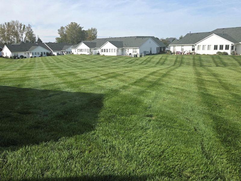 8059 Ivory Gull Circle, Pickerington, OH 43147 Photo 32