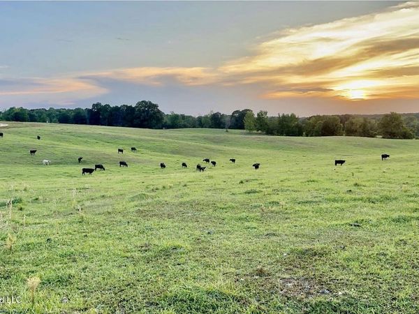 1955 Adams Road, Oakland, MS 38948