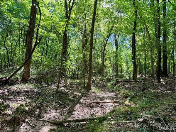 19137 County Road 268, Bloomfield, MO 63825
