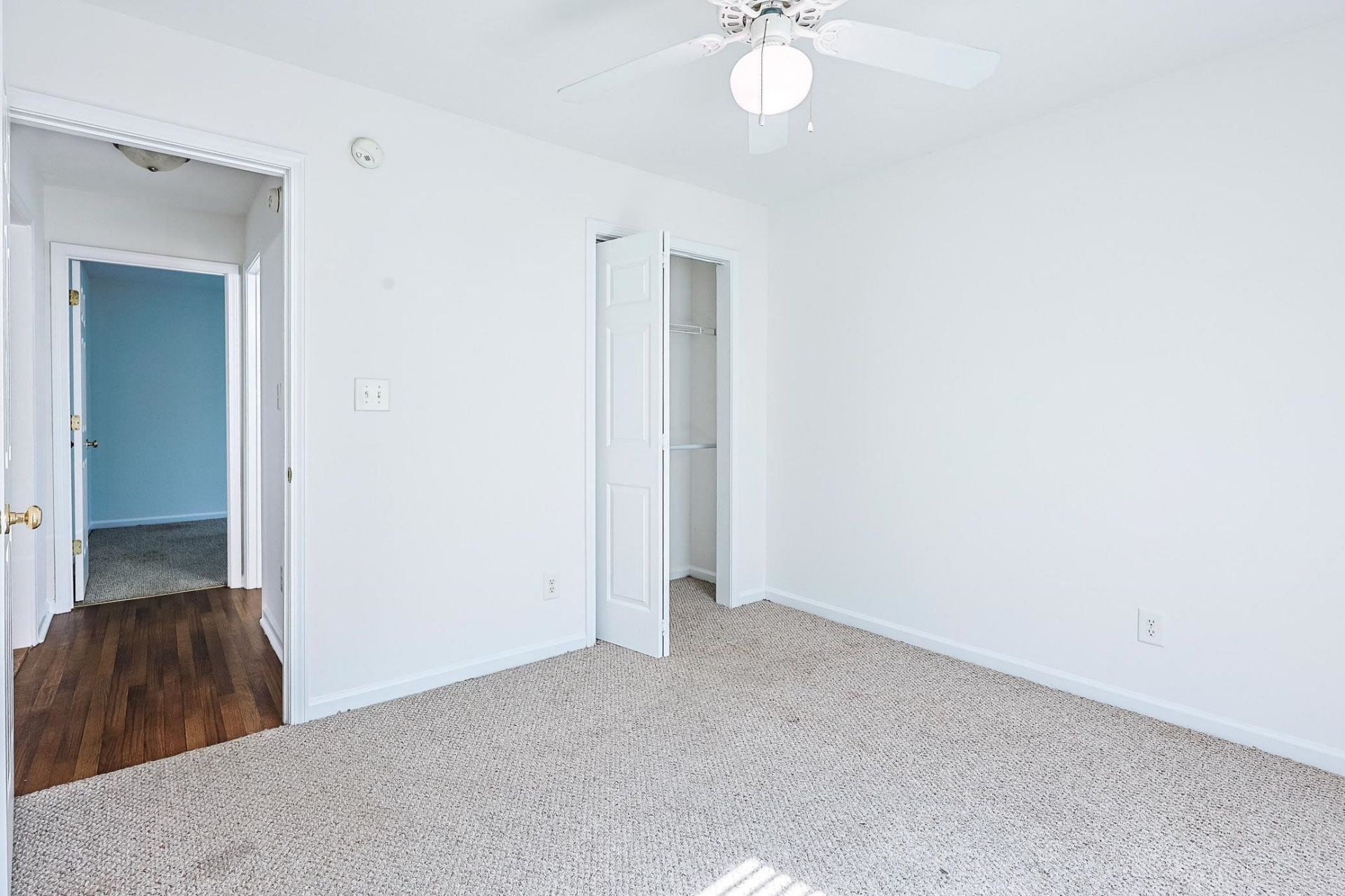 320 Sean River Rd. Photo 19