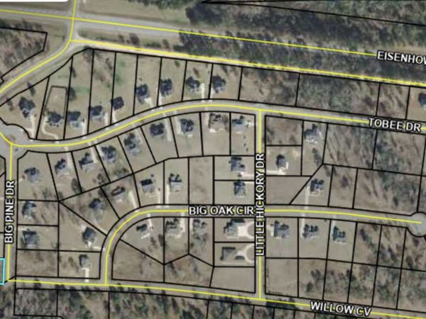 207 Big Pine Drive, Lizella, GA 31052