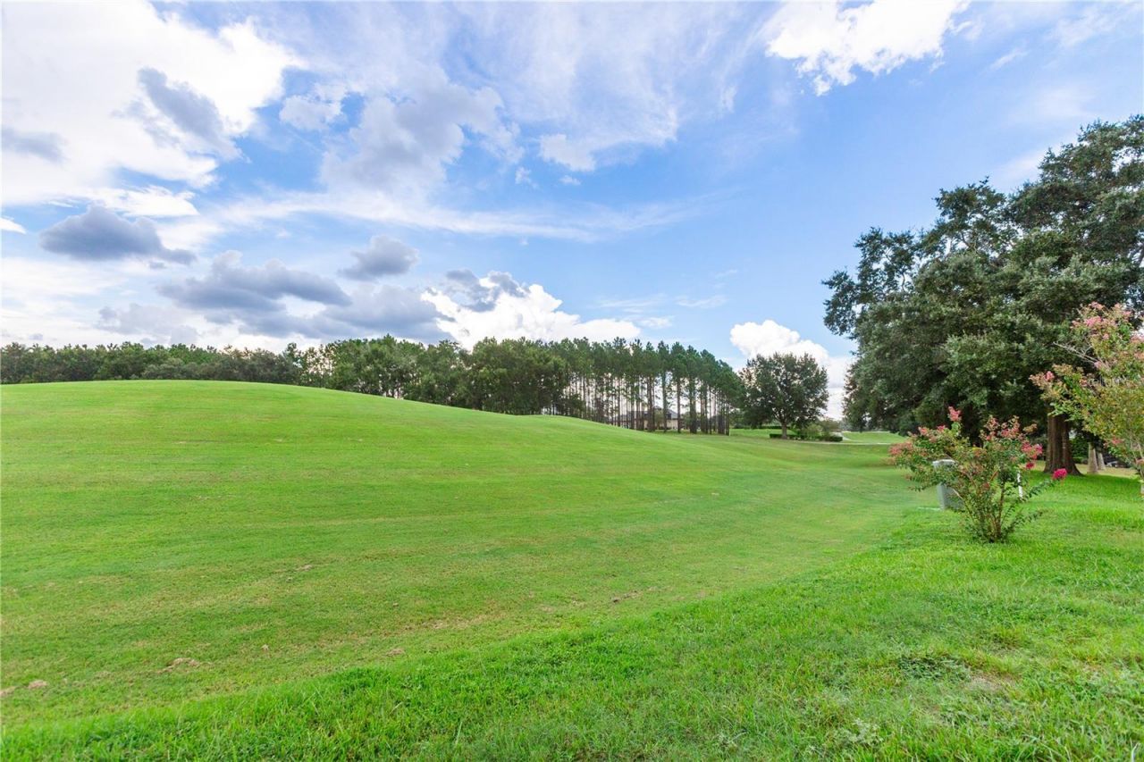 1545 N Dimaggio Path, Hernando, FL 34442 Photo